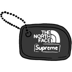 Supreme The North Face Floating Key Chain Black