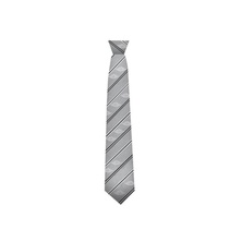 Dior x Jordan Tie Grey