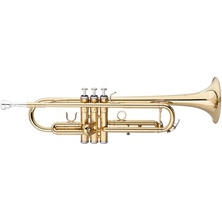 Stagg 22328Basic B Flat Trumpet