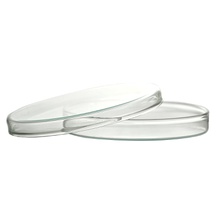 Petri Dishes Diameter 200 x 50 mm with Lid, Bubble-Free, Made of Glass, Complete Packaging Unit